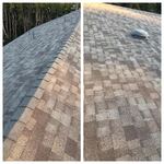 Finished Shingle Project