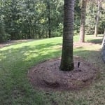 My jobs