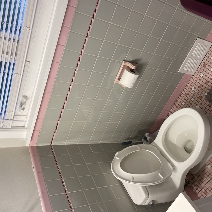 Bathroom clean