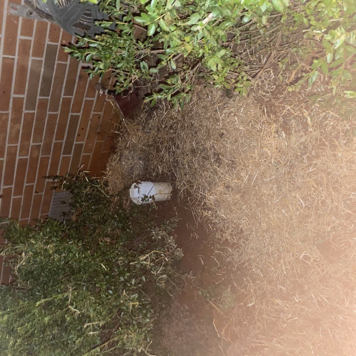 Cleanout installation
