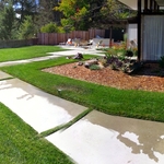 Lawn