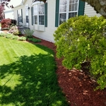 Mulching and landscaping