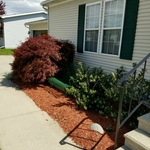 Mulching and landscaping