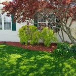 Mulching and landscaping
