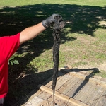 Root of the Problem