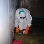 Floor Tile and Mastic Rem