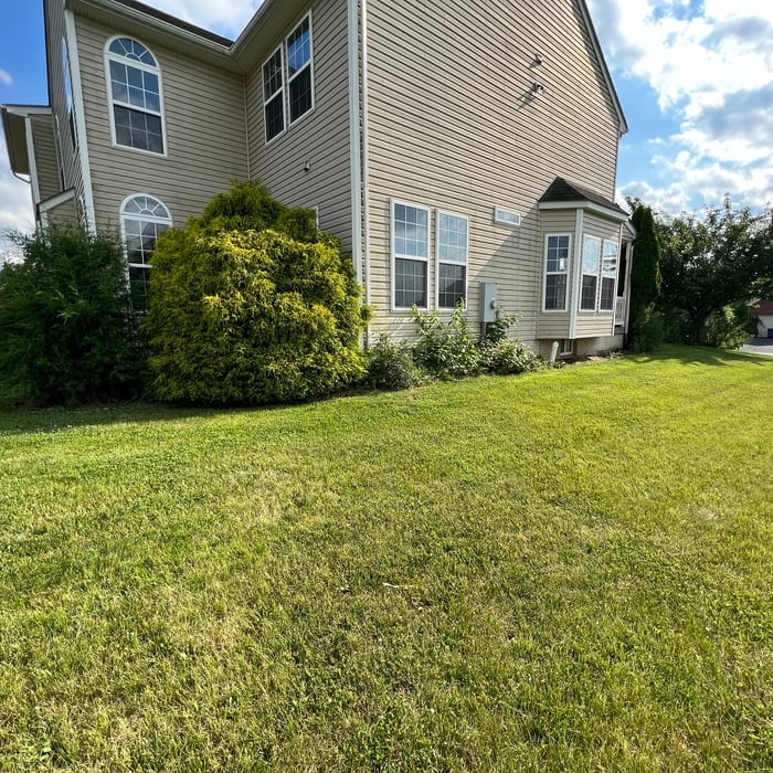 Right side view of the house