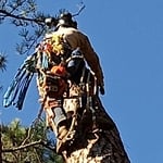 nick at the top