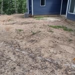 Backyard before