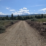 Cutting in New Road