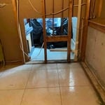 Water / Mold Remediation