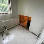 Water / Mold Remediation