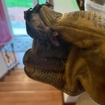 Wildlife