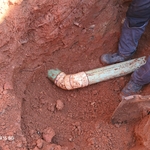 Sewer Line Repair