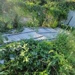 Yard waste Removal