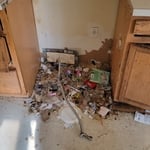 Carpet Removal/Clean Out