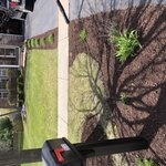 Mulch