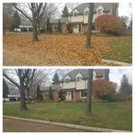Fall Clean Up