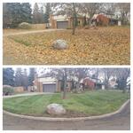 Fall Clean Up