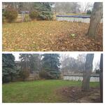 Fall Clean Up