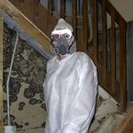 Stachybotrys Toxic Mold