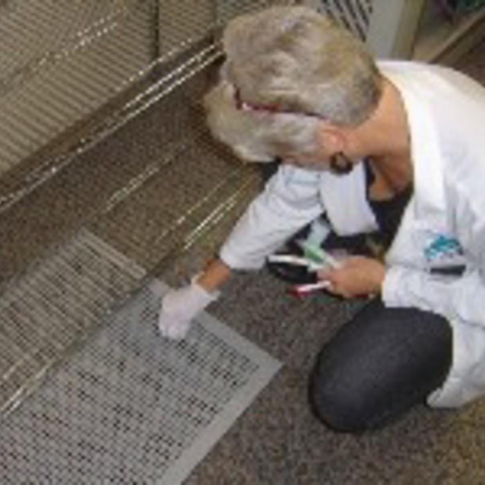 Surface sampling for bacteria after sewage backup