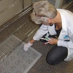 Bacterial Testing