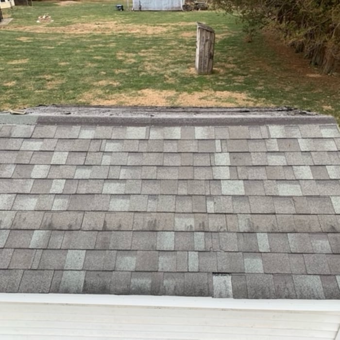 Shed Roof Replacement - Before