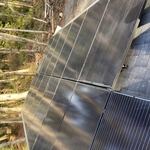 Solar in the Woods