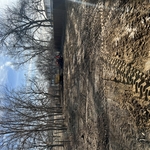 After basement backfill and final grade
