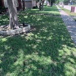 Lawn Maintenance