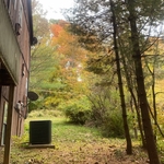 Tree trimming