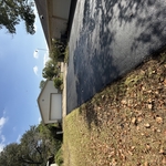 Driveway sealcoat!