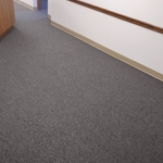 Company - Emilios Carpet