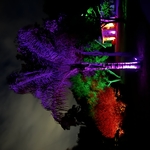 Full Color Oasis