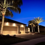 Cozy Palms