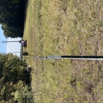 top shot of T-posts