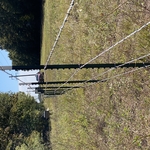 5 Strand barbed wire fence