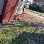 Lawn care
