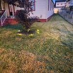 Grass trim