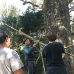 Joe Working