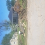 Habitat house
