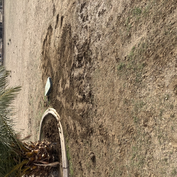 The flooded area