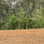 Land clearing