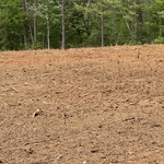 Land clearing