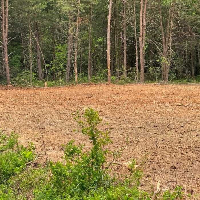 Land clearing