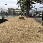Sod Installation
