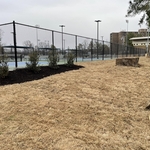 Mulching and Plant Addition