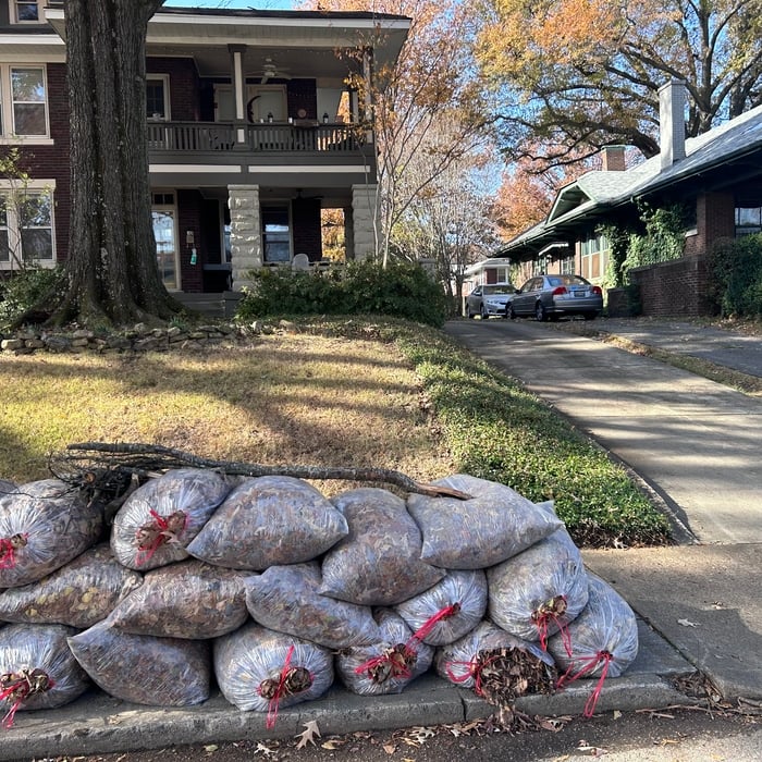 Fall Cleanup