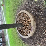 Flower Beds